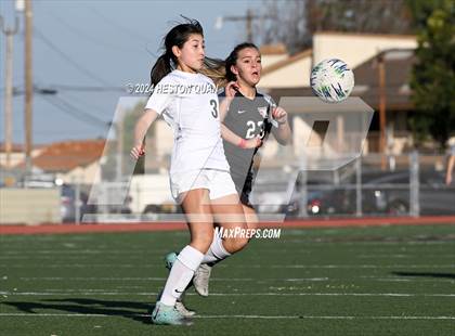 Thumbnail 3 in Palos Verdes @ Torrance (CIF-SS D1 Playoffs) photogallery.