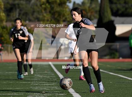 Thumbnail 1 in Palos Verdes @ Torrance (CIF-SS D1 Playoffs) photogallery.