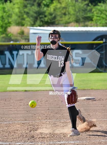 Thumbnail 2 in Quitman vs Bigelow (2A District) photogallery.