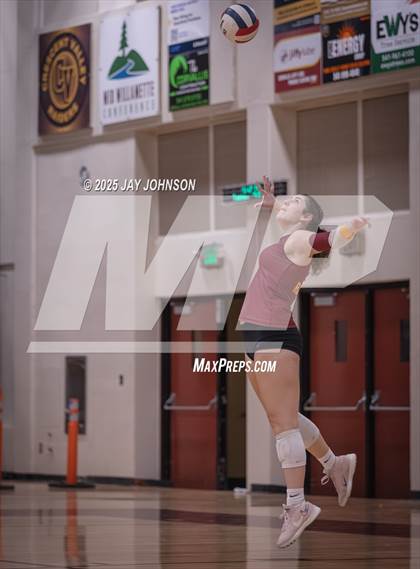 Thumbnail 2 in South Albany @ Crescent Valley photogallery.