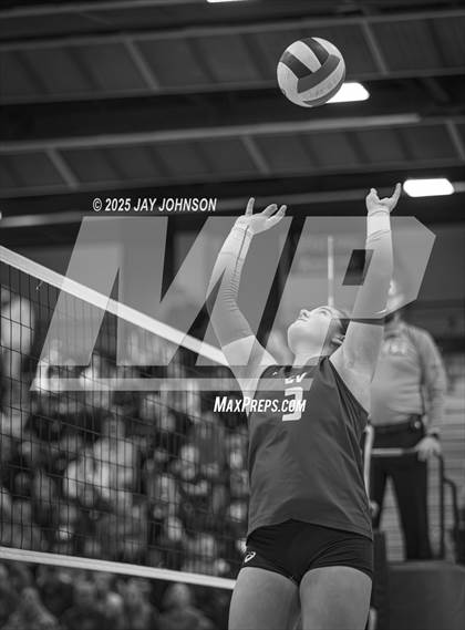 Thumbnail 1 in South Albany @ Crescent Valley photogallery.