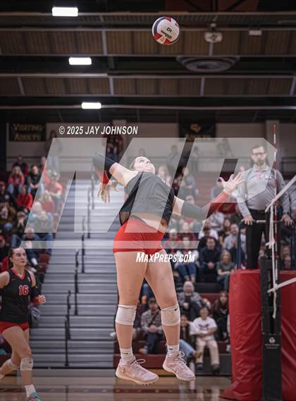 Thumbnail 1 in South Albany @ Crescent Valley photogallery.