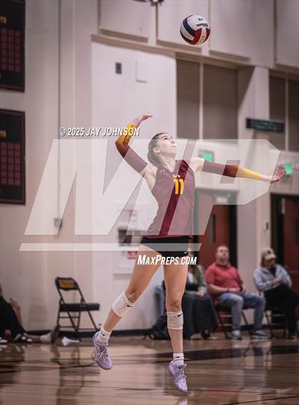 Thumbnail 3 in South Albany @ Crescent Valley photogallery.