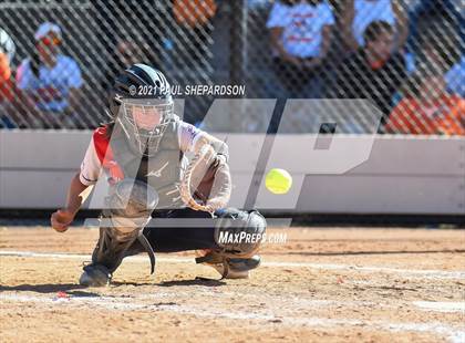Thumbnail 1 in Lakewood vs. Chaparral (CHSAA 5A State - 1st Round) photogallery.