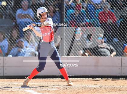 Thumbnail 3 in Lakewood vs. Chaparral (CHSAA 5A State - 1st Round) photogallery.