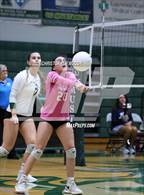 Photo from the gallery "Out-of-Door Academy @ Lakewood Ranch"