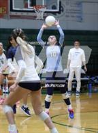 Photo from the gallery "Out-of-Door Academy @ Lakewood Ranch"