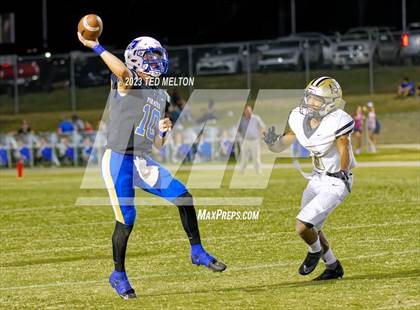 Thumbnail 2 in Davidson @ Fairhope photogallery.