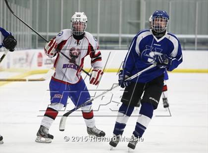 Thumbnail 1 in Hall/Southington @ Smith/Tolland/Windham photogallery.