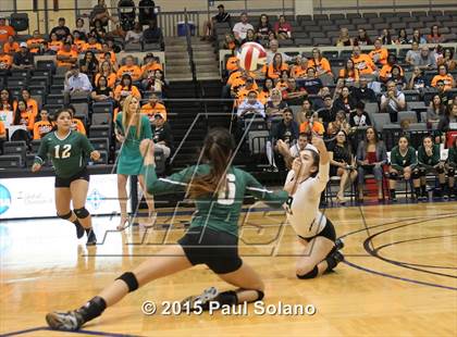 Thumbnail 1 in Southwest vs. Brandeis photogallery.