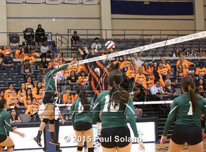 Thumbnail 1 in Southwest vs. Brandeis photogallery.