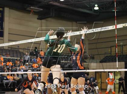 Thumbnail 2 in Southwest vs. Brandeis photogallery.