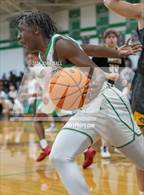 Photo from the gallery "Topsail @ West Brunswick"
