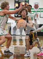 Photo from the gallery "Topsail @ West Brunswick"