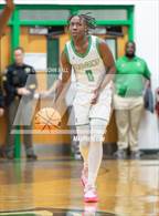 Photo from the gallery "Topsail @ West Brunswick"