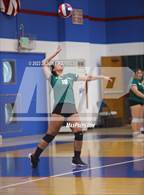 Photo from the gallery "Brea Olinda @ Los Altos"