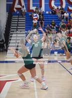 Photo from the gallery "Brea Olinda @ Los Altos"