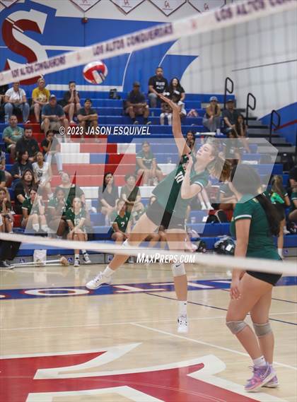 Thumbnail 1 in Brea Olinda @ Los Altos photogallery.