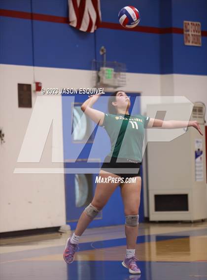 Thumbnail 1 in Brea Olinda @ Los Altos photogallery.