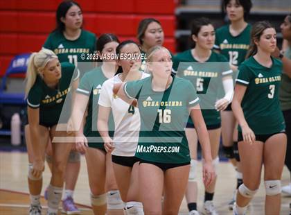 Thumbnail 1 in Brea Olinda @ Los Altos photogallery.