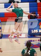 Photo from the gallery "Brea Olinda @ Los Altos"