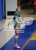 Photo from the gallery "Brea Olinda @ Los Altos"