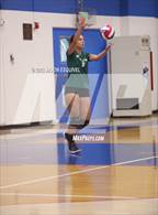 Photo from the gallery "Brea Olinda @ Los Altos"