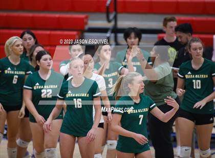 Thumbnail 3 in Brea Olinda @ Los Altos photogallery.