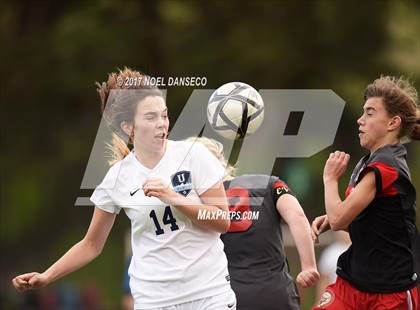 Thumbnail 1 in Urban vs. Marin Academy (CIF NCS 2nd Round Playoff) photogallery.
