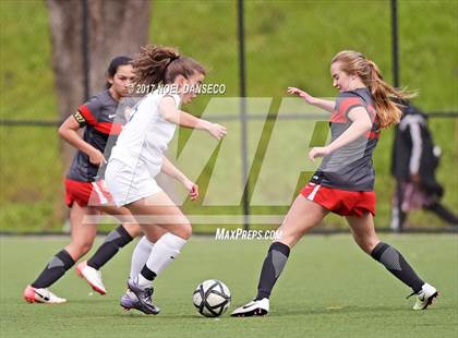 Thumbnail 3 in Urban vs. Marin Academy (CIF NCS 2nd Round Playoff) photogallery.