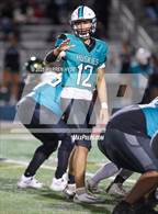 Photo from the gallery "Monterey Trail @ Sheldon"