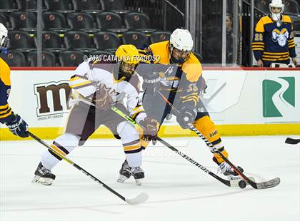 Thumbnail 1 in Ramsey vs Summit (NJSIAA Public C Final)  photogallery.