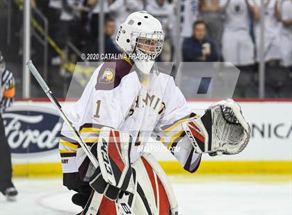 Thumbnail 1 in Ramsey vs Summit (NJSIAA Public C Final)  photogallery.