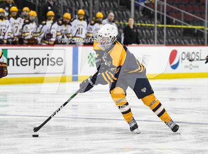 Thumbnail 3 in Ramsey vs Summit (NJSIAA Public C Final)  photogallery.