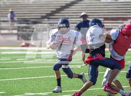 Thumbnail 1 in Great Oak @ Elsinore (Scrimmage) photogallery.