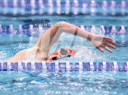 Thumbnail 2 in Lassiter Walton Harrison Tri Meet photogallery.