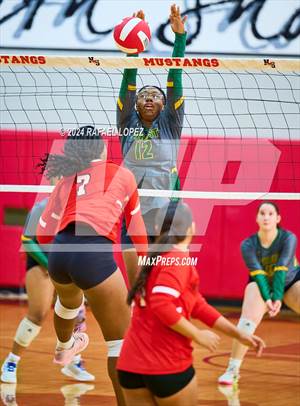 Klein Forest @ North Shore