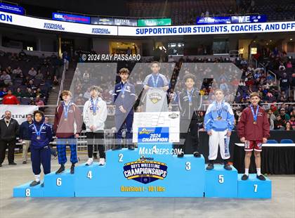 Thumbnail 2 in NYSPHSAA Division I Wrestling Championships - Podiums and Awards photogallery.