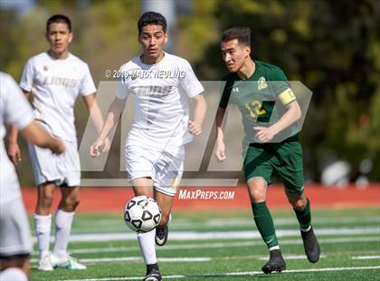 Thumbnail 3 in Capuchino vs. Cristo Rey (CIF CCS D4 Quarterfinal) photogallery.