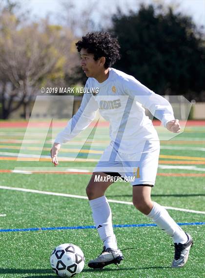 Thumbnail 1 in Capuchino vs. Cristo Rey (CIF CCS D4 Quarterfinal) photogallery.