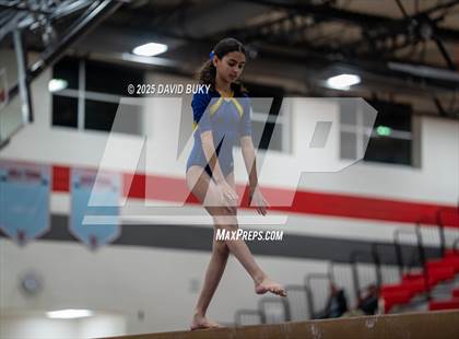 Thumbnail 2 in Gainesville Invitational (Balance Beam) photogallery.