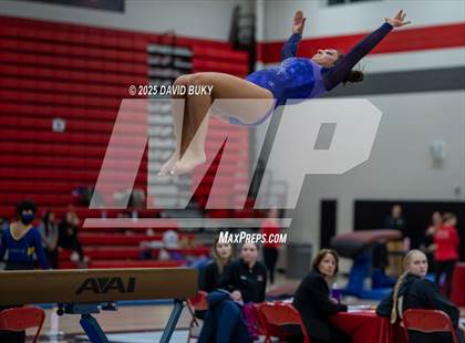 Thumbnail 3 in Gainesville Invitational (Balance Beam) photogallery.
