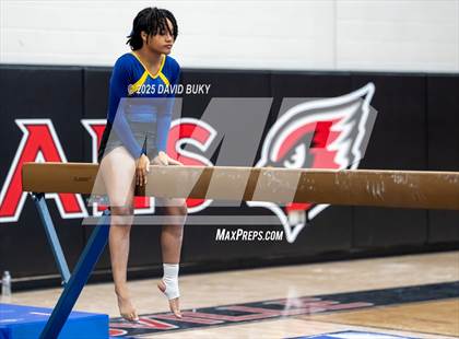 Thumbnail 3 in Gainesville Invitational (Balance Beam) photogallery.