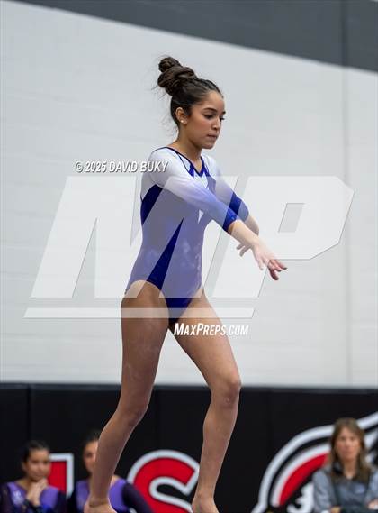 Thumbnail 3 in Gainesville Invitational (Balance Beam) photogallery.