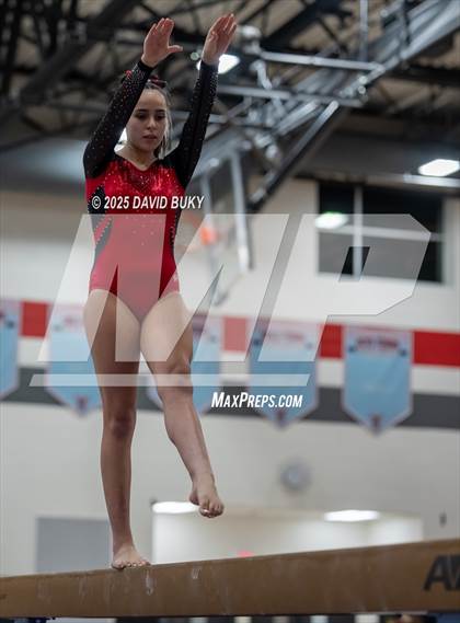 Thumbnail 3 in Gainesville Invitational (Balance Beam) photogallery.