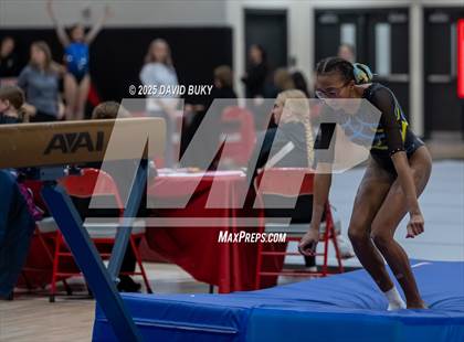 Thumbnail 3 in Gainesville Invitational (Balance Beam) photogallery.