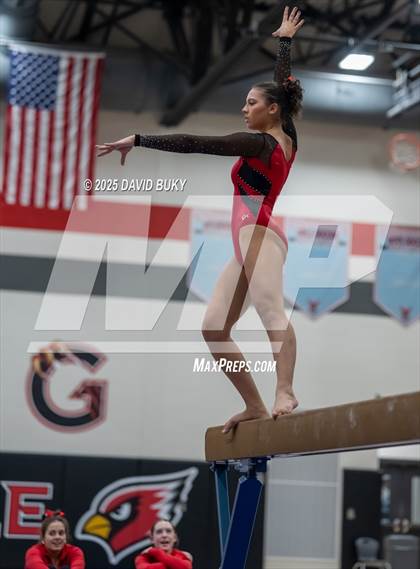 Thumbnail 3 in Gainesville Invitational (Balance Beam) photogallery.