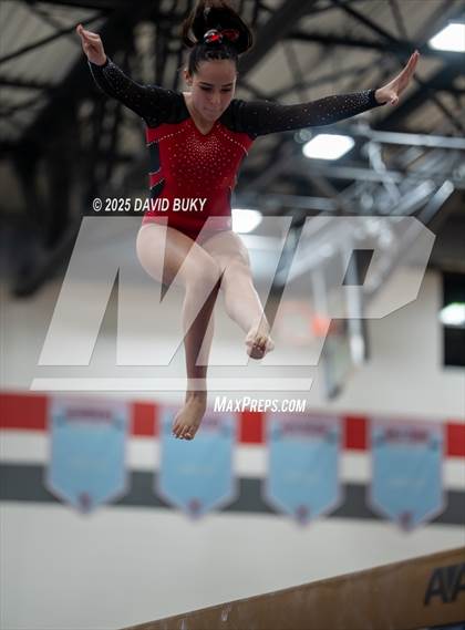 Thumbnail 3 in Gainesville Invitational (Balance Beam) photogallery.