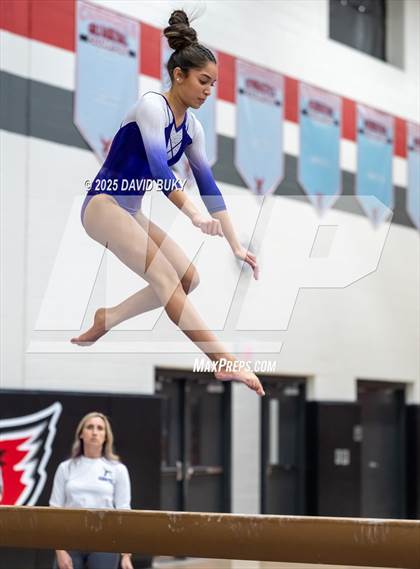 Thumbnail 3 in Gainesville Invitational (Balance Beam) photogallery.