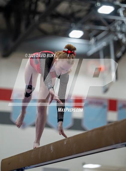Thumbnail 1 in Gainesville Invitational (Balance Beam) photogallery.